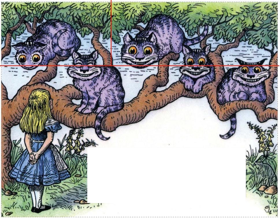 Disappearing Cat Optical Illusion Puzzle - Fun Brain Teaser for Adults & Kids, Unique Gift for Cat Lovers, Mind-Bending Game