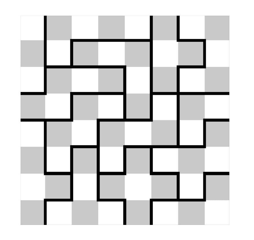 The Bug House Puzzle - A Checkerboard Dissection - Modern Recreation of a Classic - Brain Teaser for All Ages - Fun & Challenging Mind Game