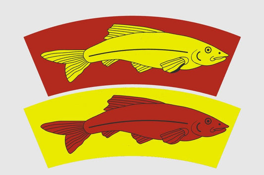 Jastrow's Optical Illusion Box Cat and Fish Version | Fun for All Ages | Mind-Bending Puzzle Toy & Brain Teaser to Enhance Visual Perception