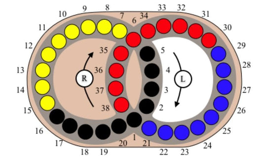 Hungarian Rings Puzzle Game - Sliding Color – Devil’s Circles Marble Brain Teaser, Color Matching Logic Toy for Adults & Kids
