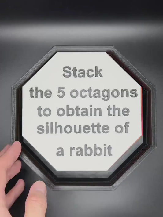 Rabbit Puzzle - Silhouettoscope, Question du Lapin, Double-Sided Octagons, Stackable Fun Puzzle for Kids, Perfect Gift for Learning & Play