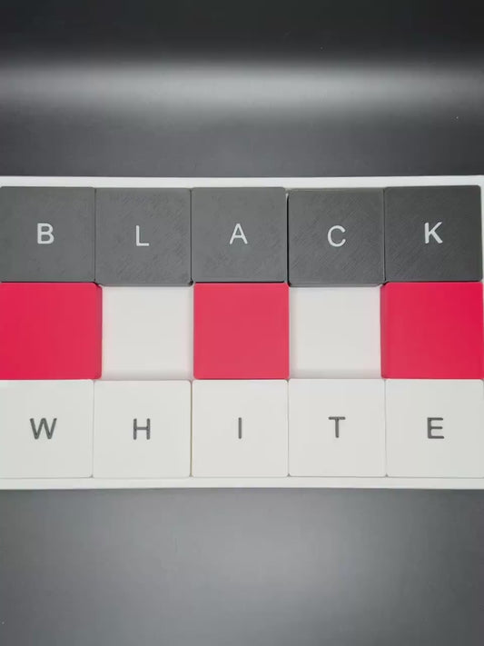 White and Black - Modern Recreation of a Classic Sliding Puzzle - Large 3D Puzzle 25x15cm, Sliding Piece Challenge - Swap the 2 Colors