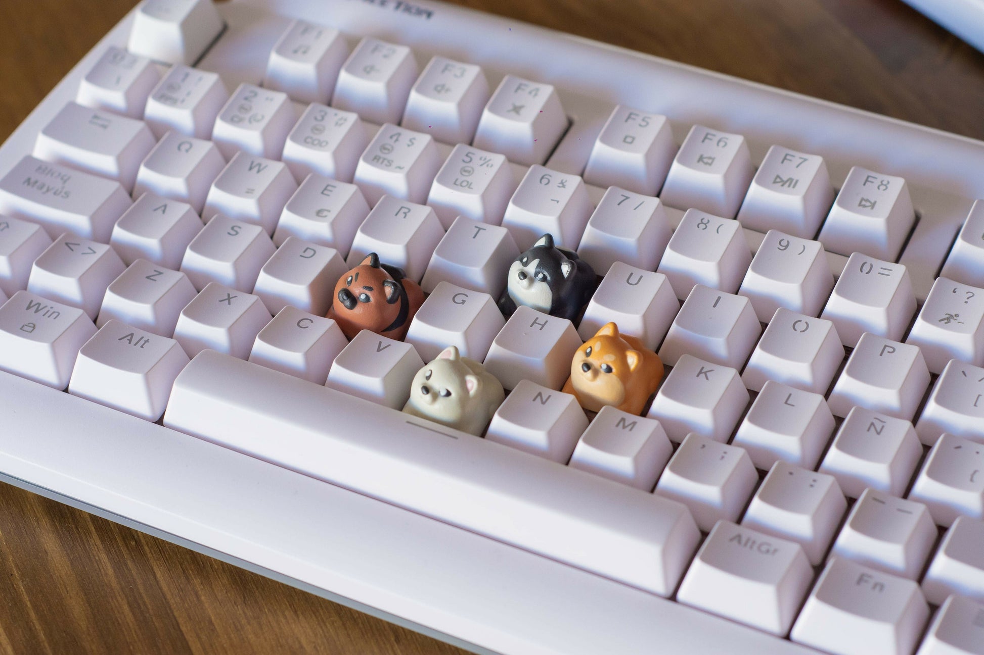 Shiba Inu Dog Keycaps Set - Cherry MX Compatible - Unique Keyboard Accessory Gift 4-Pack - Perfect for Him & Her