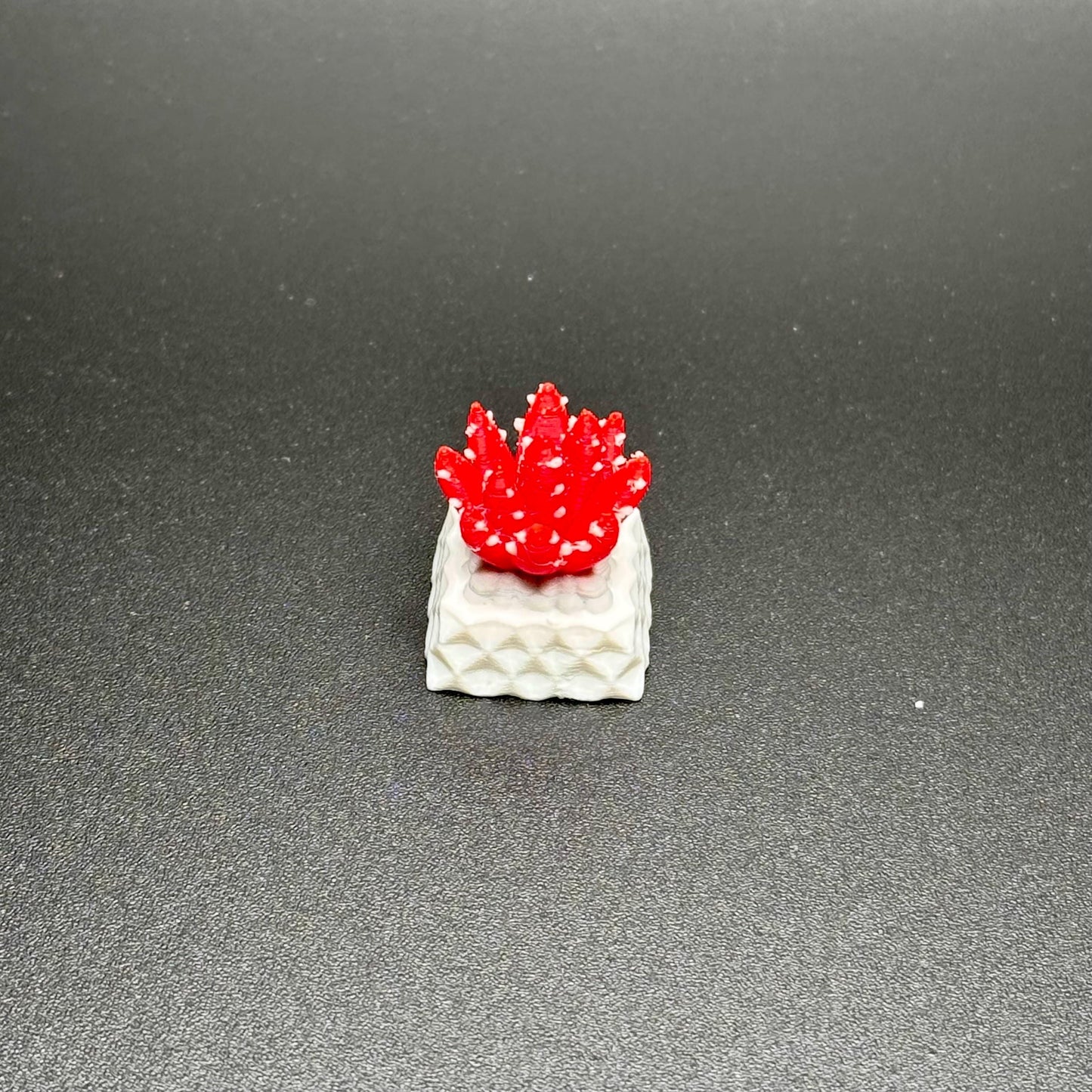 Succulent Plant Artisan Keycaps Set - Cherry MX Compatible - Unique Keyboard Accessory - Perfect Gift for Him & Her - Hiko 3D Keycap