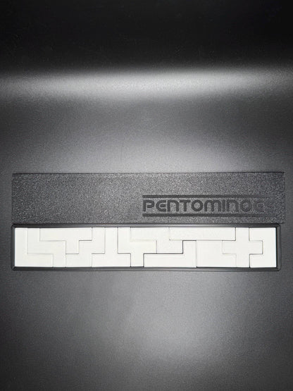 Pentominoes Pocket Puzzle - Brain-Boosting Fun, 4 Difficulty Levels, High Quality 3D Print, Perfect Gift for All Ages
