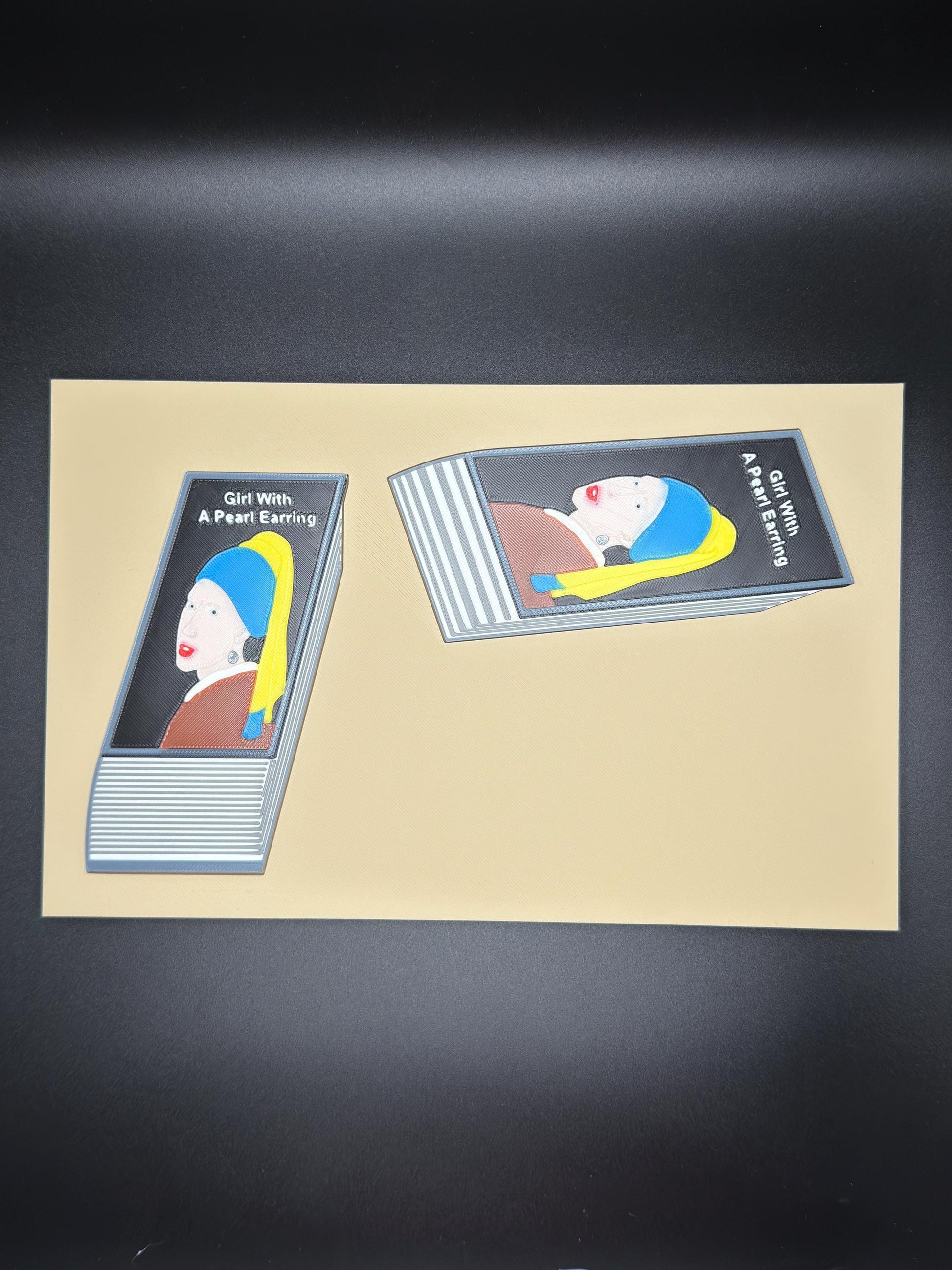 Puzzling Book Covers Puzzle, Swap The Books - Fun Optical Illusion Game for All Ages, Unique Gift Idea