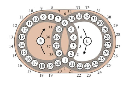 Hungarian Rings Puzzle Game - Sliding Color – Devil’s Circles Marble Brain Teaser, Color Matching Logic Toy for Adults & Kids
