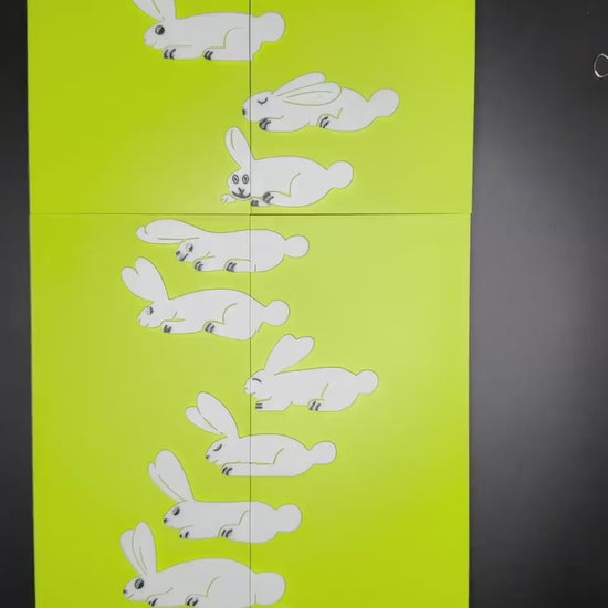 The Vanishing Rabbit Puzzle - Magic Shifting Puzzle - High Quality 3D Print - Fun & Engaging Toy for All Ages