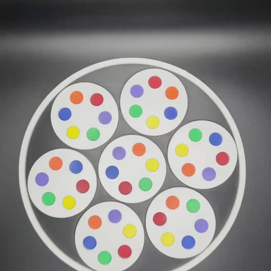 Circle Color Match Puzzle - Perfect Gift for Students, Teachers & Puzzle Lovers - Fun Educational Toy - 3D Printed Puzzle