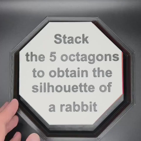 Rabbit Puzzle - Silhouettoscope, Question du Lapin, Double-Sided Octagons, Stackable Fun Puzzle for Kids, Perfect Gift for Learning & Play