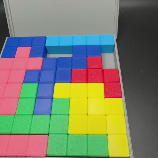 Flat Pentominoes Puzzle - 13 Unique Pieces, Challenging STEM Learning Tool & Gift for Puzzle Lovers | High Quality 3D Print