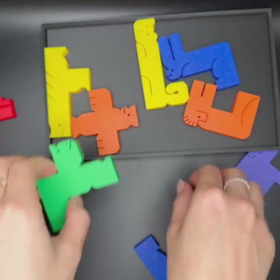 Animal Kingdom Tetris Puzzle - 12 Pieces with Tray and Cover | 245x150mm Fun & Functional Brain Teaser